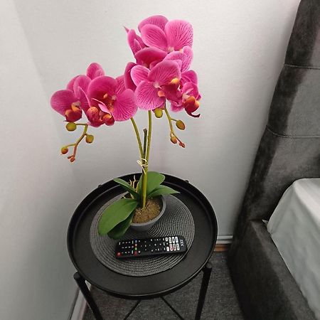 Chic Boutique Dumbrava Daire Sibiu Dış mekan fotoğraf